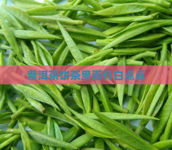 普洱茶饼茶里面有白点点