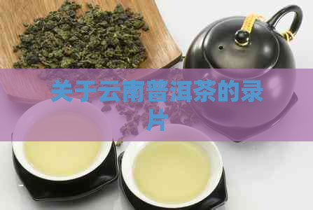 关于云南普洱茶的录片