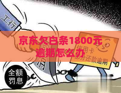 京东欠白条1800元逾期怎么办