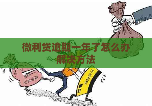 微利贷逾期一年了怎么办解决方法