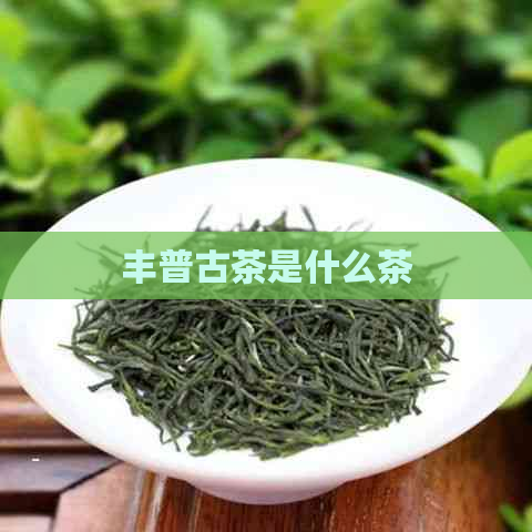 丰普古茶是什么茶