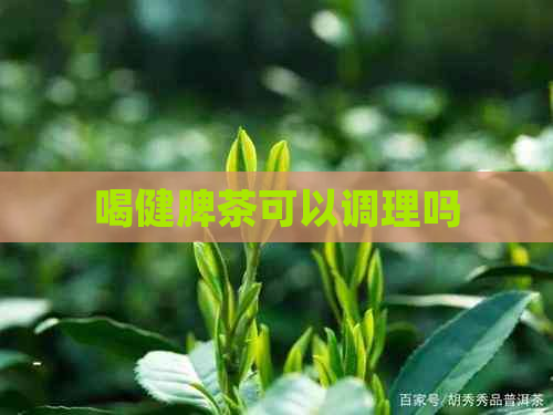 喝健脾茶可以调理吗