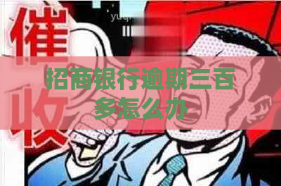 招商银行逾期三百多怎么办