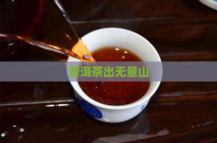 普洱茶出无量山