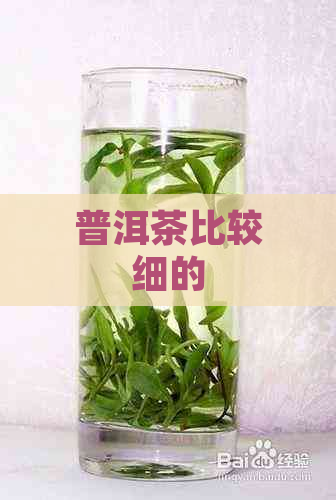 普洱茶比较细的