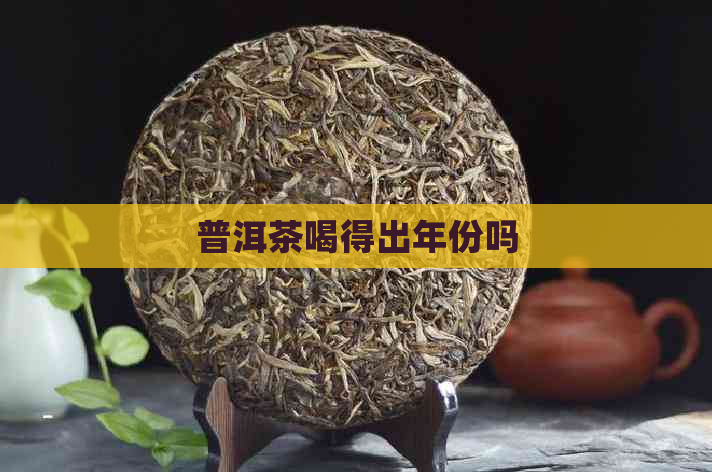 普洱茶喝得出年份吗