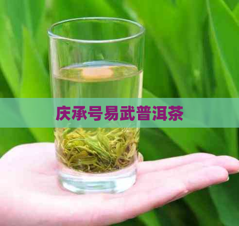 庆承号易武普洱茶