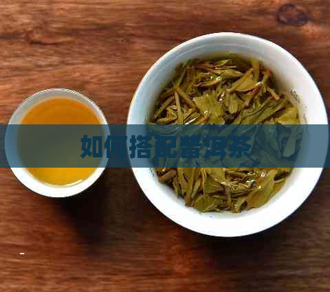 如何搭配普洱茶