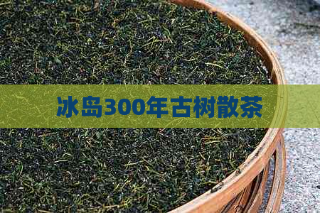 冰岛300年古树散茶