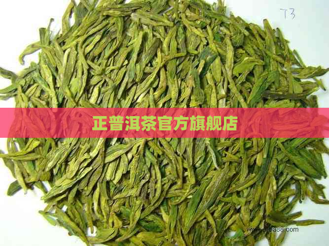 正普洱茶官方旗舰店