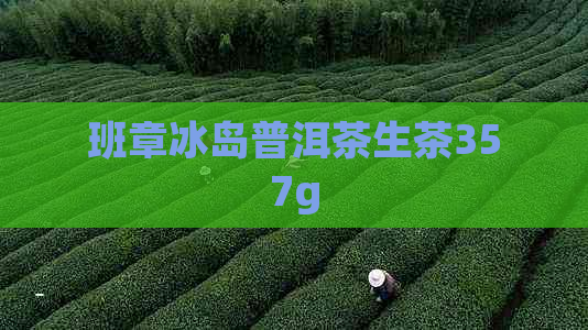 班章冰岛普洱茶生茶357g