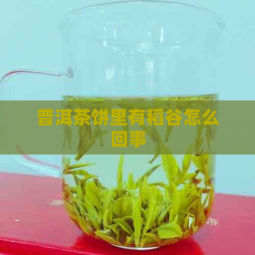 普洱茶饼里有稻谷怎么回事