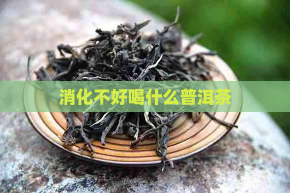 消化不好喝什么普洱茶