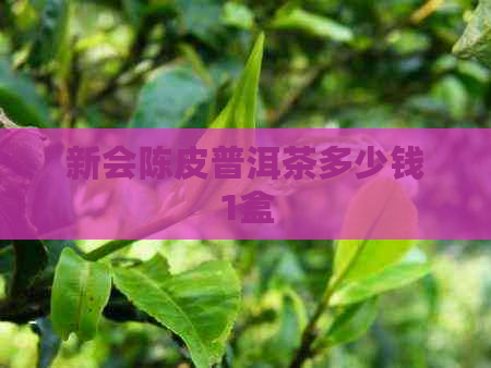 新会陈皮普洱茶多少钱1盒