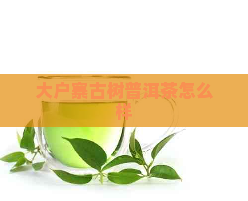 大户寨古树普洱茶怎么样