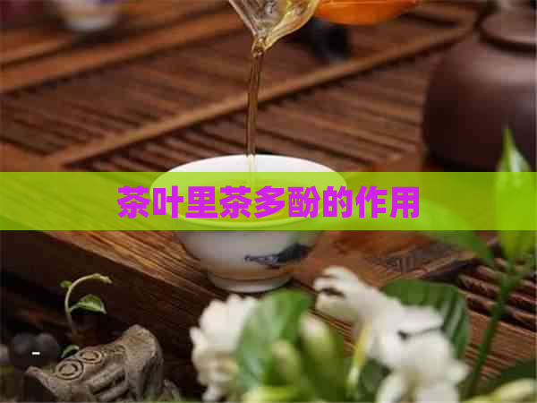 茶叶里茶多酚的作用