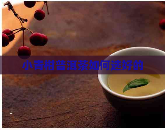 小青柑普洱茶如何选好的