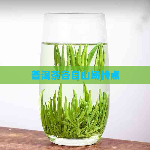 普洱茶各自山场特点