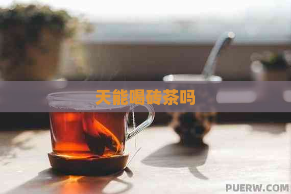 天能喝砖茶吗