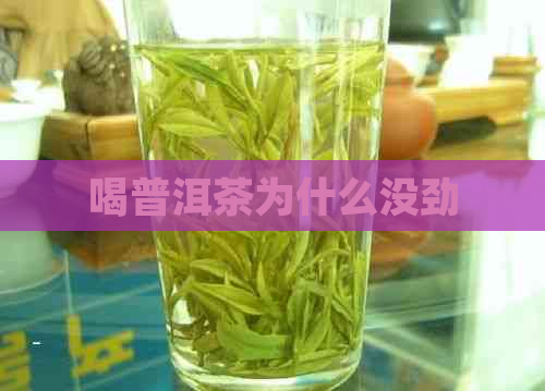 喝普洱茶为什么没劲