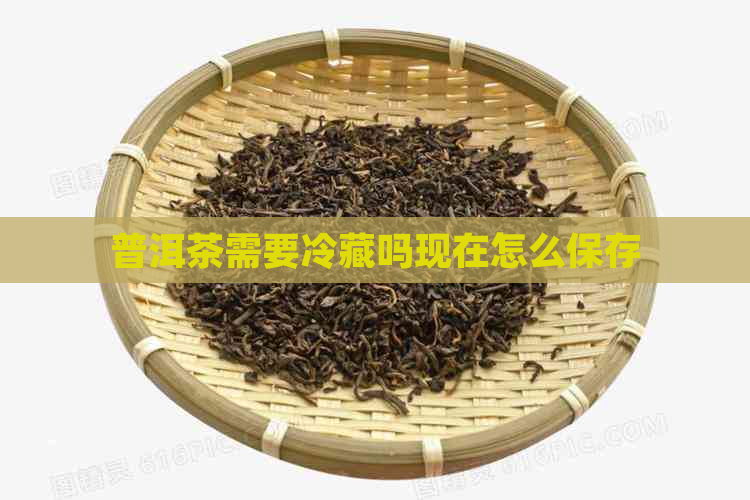 普洱茶需要冷藏吗现在怎么保存