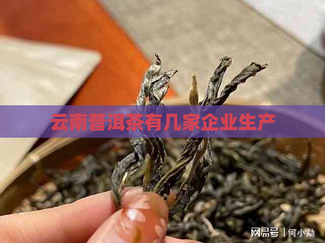 云南普洱茶有几家企业生产