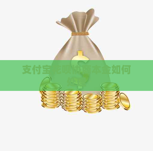 支付宝花呗协商本金如何处理