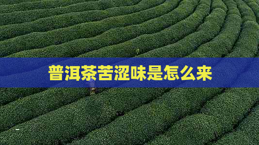 普洱茶苦涩味是怎么来