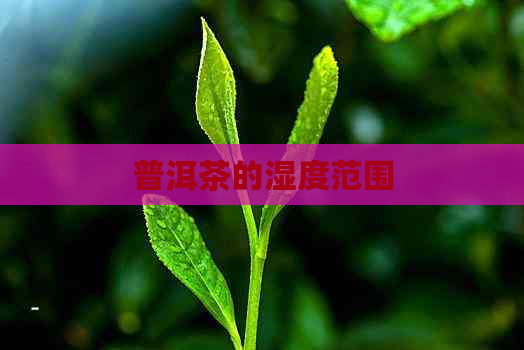 普洱茶的湿度范围