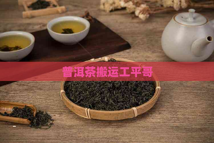 普洱茶搬运工平哥