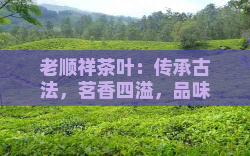 老顺祥茶叶：传承古法，茗香四溢，品味悠长