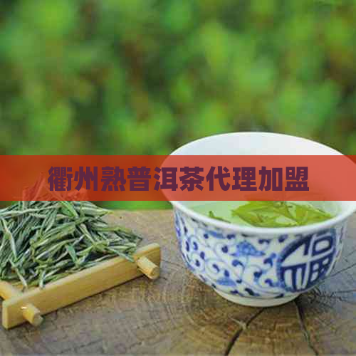 衢州熟普洱茶代理加盟