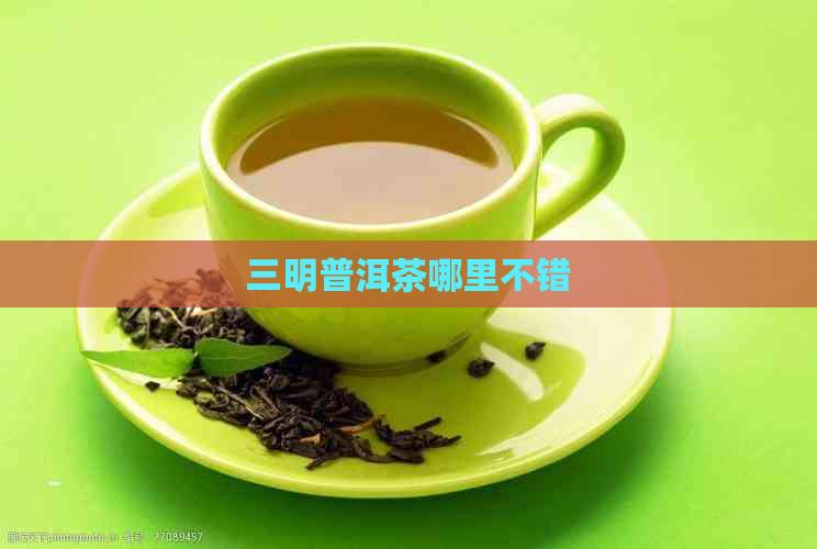 三明普洱茶哪里不错