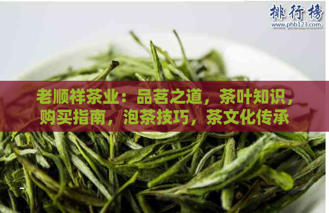 老顺祥茶业：品茗之道，茶叶知识，购买指南，泡茶技巧，茶文化传承