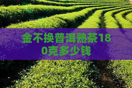 金不换普洱熟茶180克多少钱