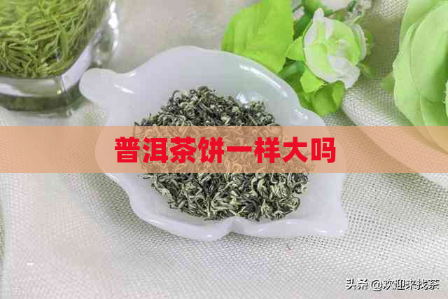 普洱茶饼一样大吗