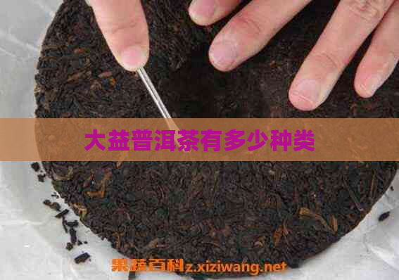 大益普洱茶有多少种类