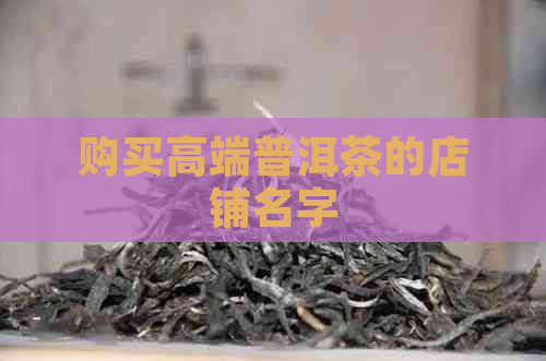 购买高端普洱茶的店铺名字