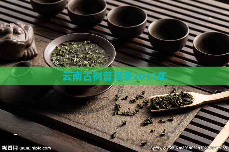 云南古树普洱茶2011年