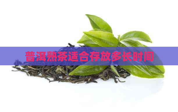 普洱熟茶适合存放多长时间