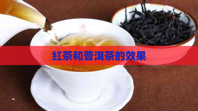 红茶和普洱茶的效果