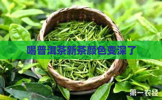 喝普洱茶新茶颜色变深了