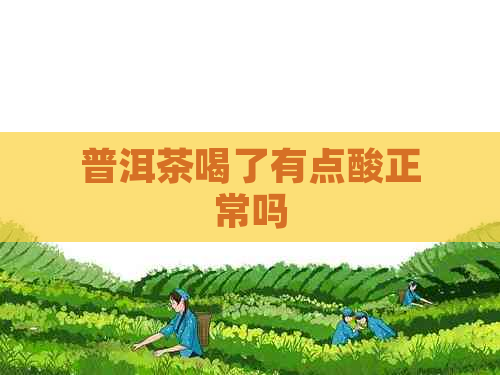 普洱茶喝了有点酸正常吗