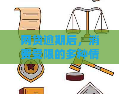 网贷逾期后，消费受限的多种情况详解：原因、应对措及案例分析