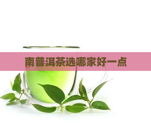 南普洱茶选哪家好一点