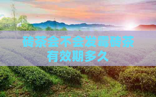 砖茶会不会发霉砖茶有效期多久