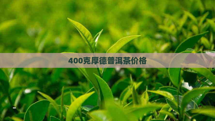 400克厚德普洱茶价格