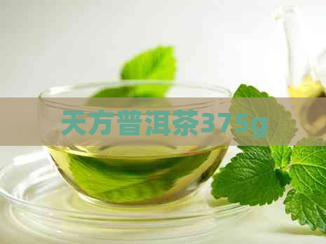 天方普洱茶375g