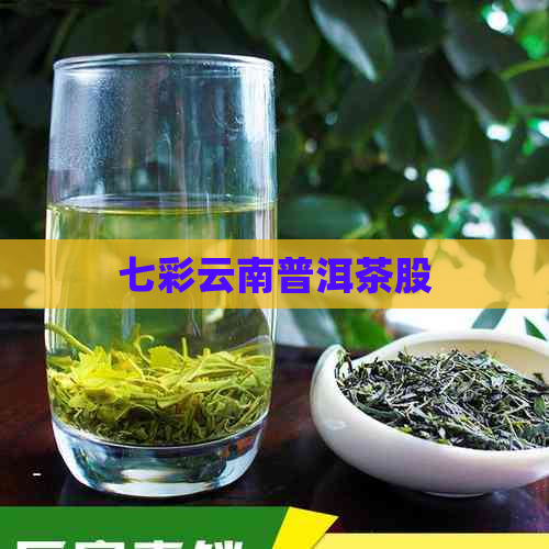 七彩云南普洱茶股