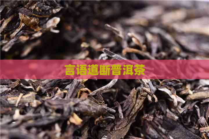 言语道断普洱茶